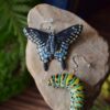 Kolczyki z rzeźbą motyla Papilio polyxenes oraz jego gąsienicy Kolczyki z rzeźbą motyla Papilio polyxenes oraz jego gąsienicy (Unique Fantasy Objects)