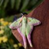Naszyjnik z rzeźbą ćmy Actias dubernardi (Unique Fantasy Objects)
