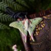 Naszyjnik z rzeźbą ćmy Actias selene Naszyjnik z rzeźbą ćmy Actias selene (Unique Fantasy Objects)