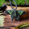 Naszyjnik z rzeźbą ćmy Urania fulgens (Unique Fantasy Objects)