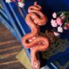 Spinka do włosów z wężem zbożowym (Unique Fantasy Objects)