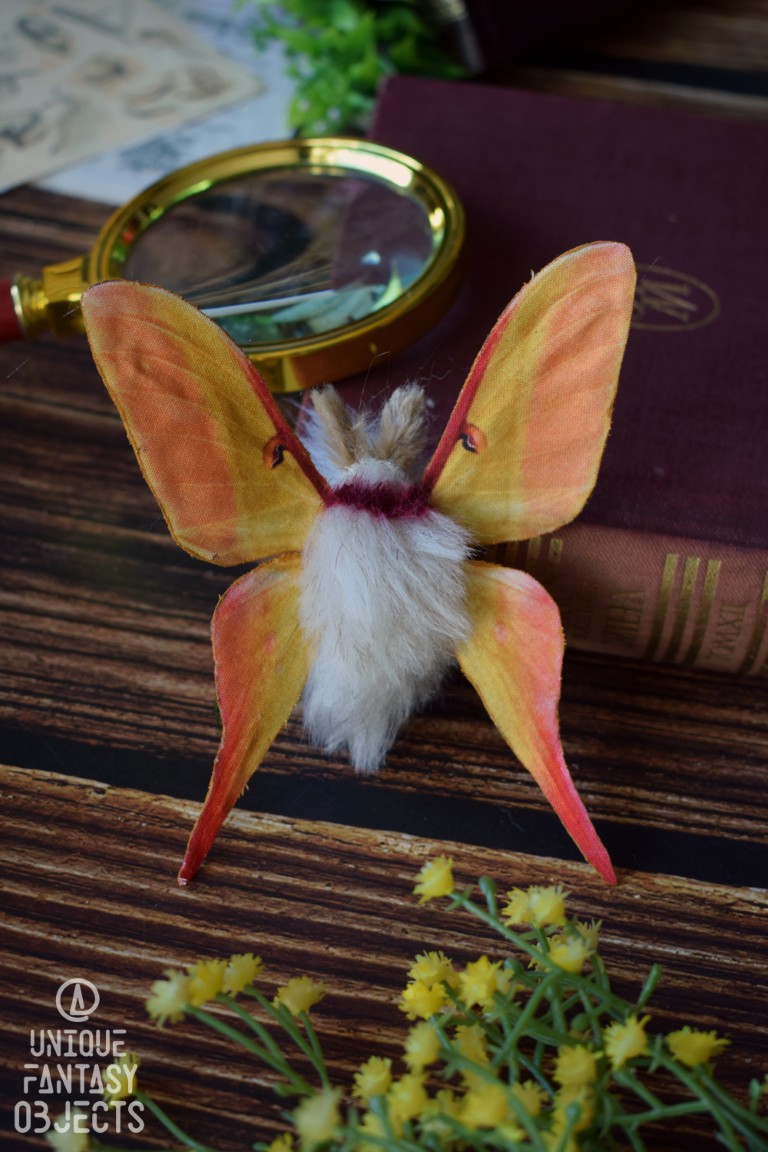 Broszka lub spinka z ćmą actias dubernardi Broszka lub spinka z ćmą actias dubernardi (Unique Fantasy Objects)