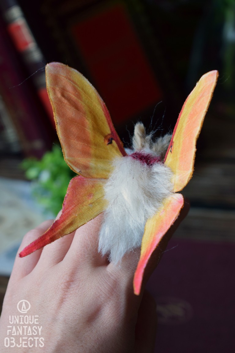 Broszka lub spinka z ćmą actias dubernardi Broszka lub spinka z ćmą actias dubernardi (Unique Fantasy Objects)