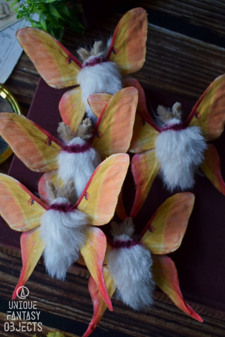 Broszka lub spinka z ćmą actias dubernardi Broszka lub spinka z ćmą actias dubernardi (Unique Fantasy Objects)
