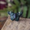 Regulowany pierścionek z rzeźbą motyla Euthalia patala (Unique Fantasy Objects)