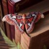 Spinka do włosów z ćmą Pawica atlas (Unique Fantasy Objects)