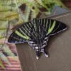 Spinka do włosów z rzeźbą ćmy Urania fulgens (Unique Fantasy Objects)