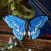 Spinka do włosów z rzeźbą motyla Morpho rhetenor (Unique Fantasy Objects)